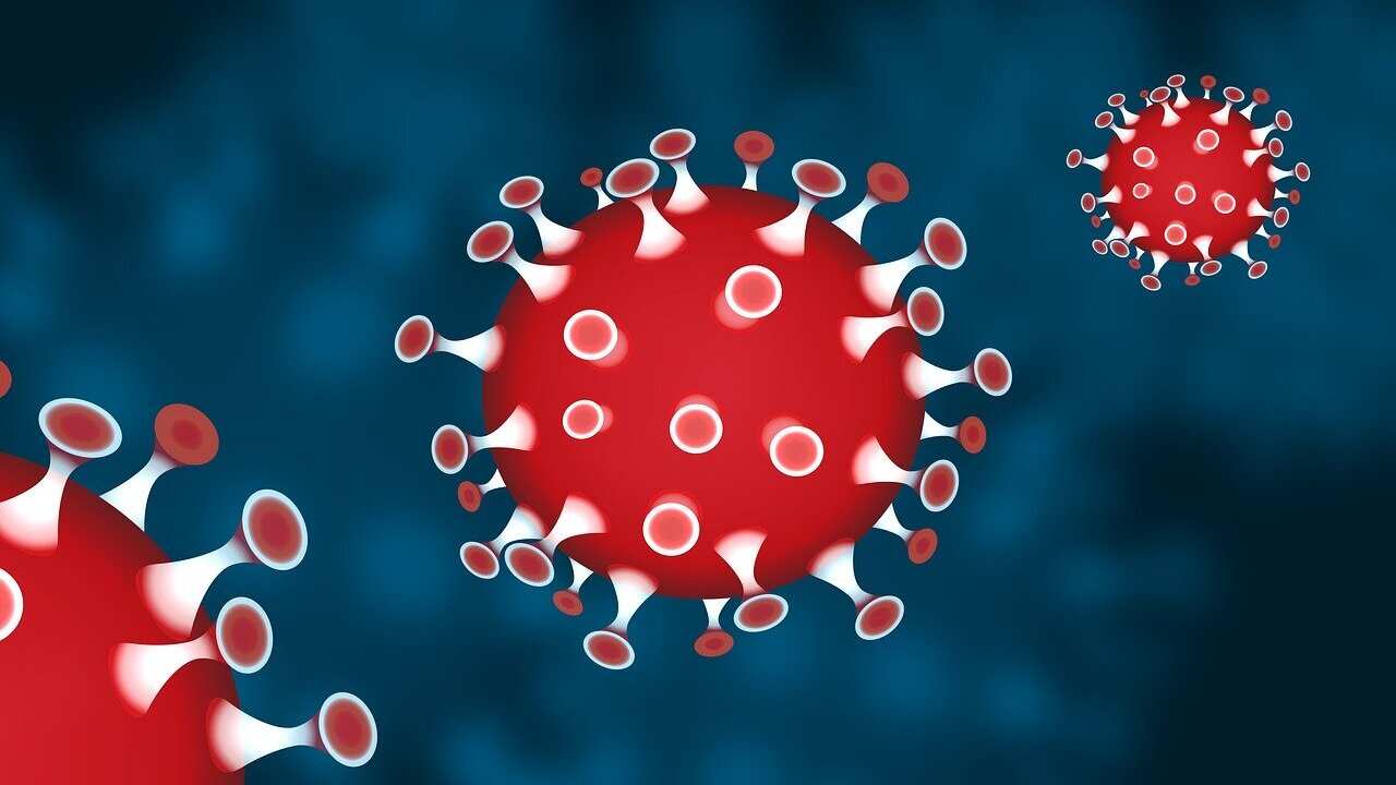 coronavirus death toll