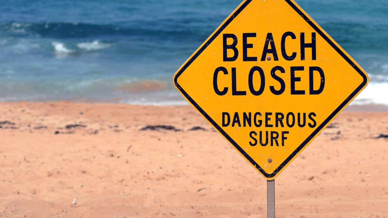 Signs warning swimmers are pictured