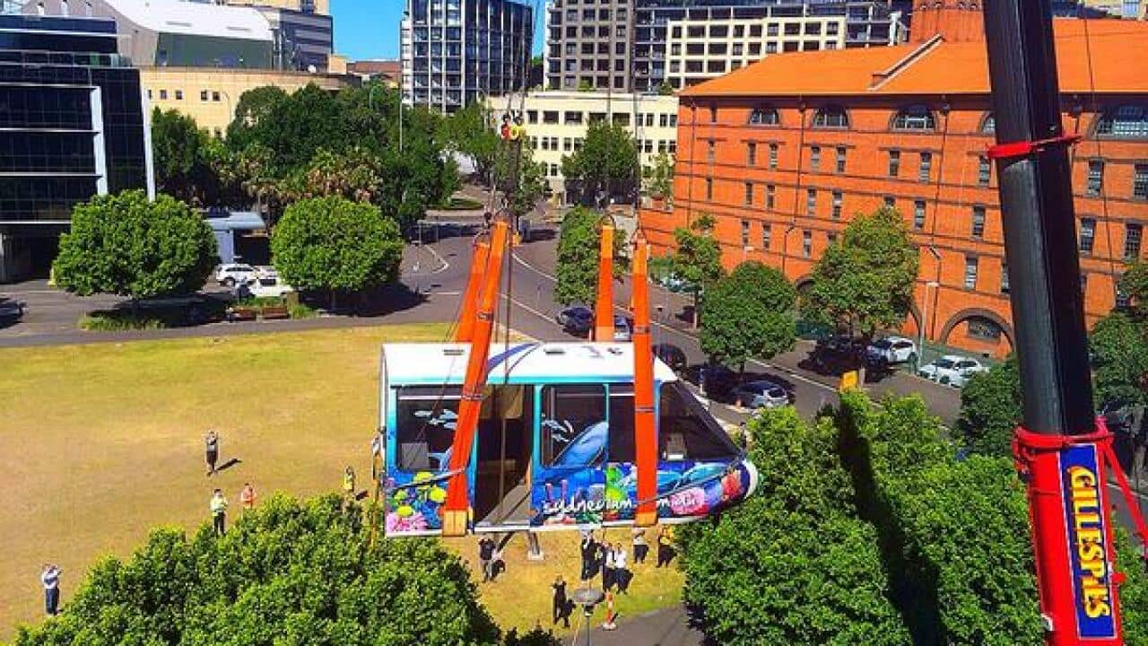 monorail_sydney_Jo_tovey.jpg