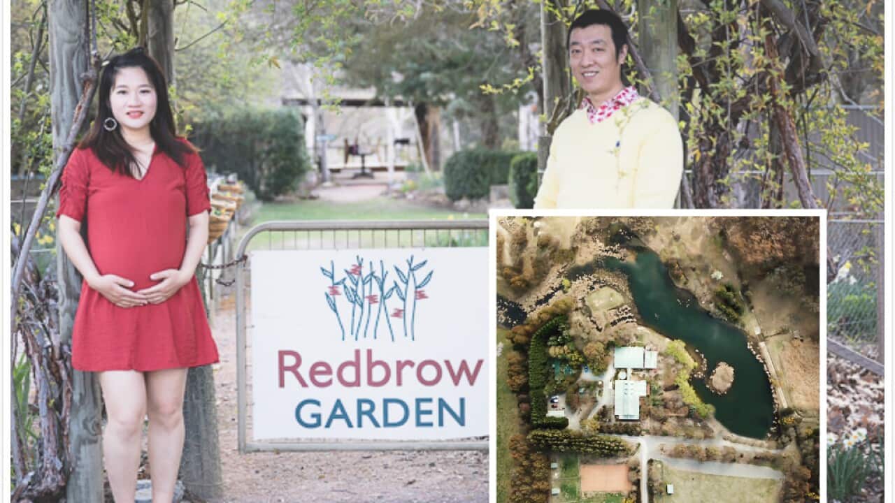 Image for read more article ''