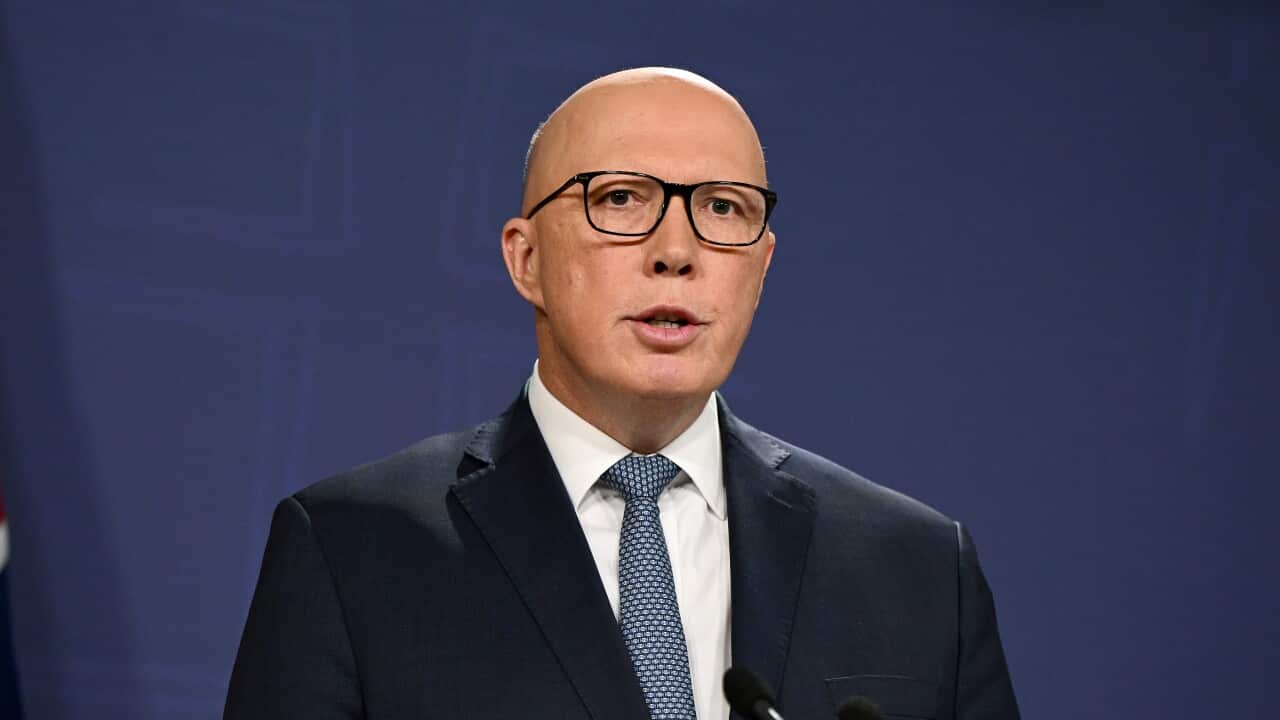 Image for read more article 'READ MORE'