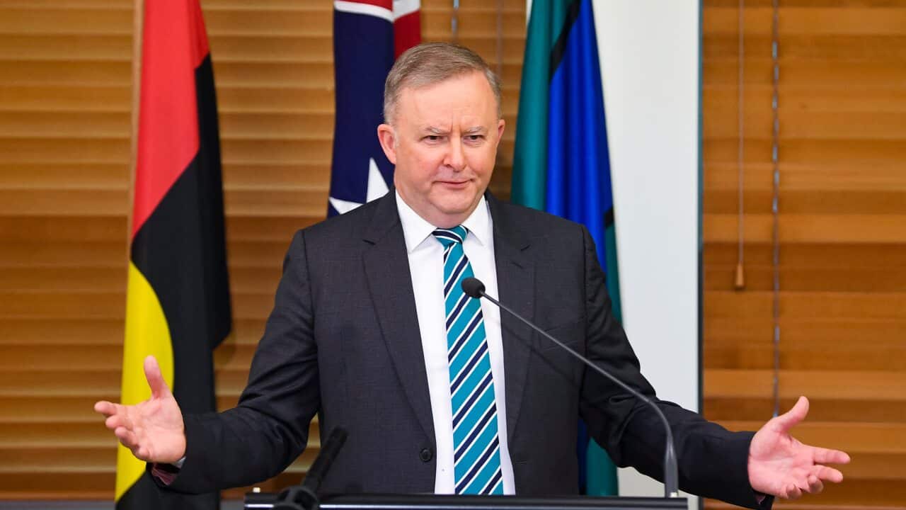 Opposition Leader Anthony Albanese ahead of his budget reply speech.