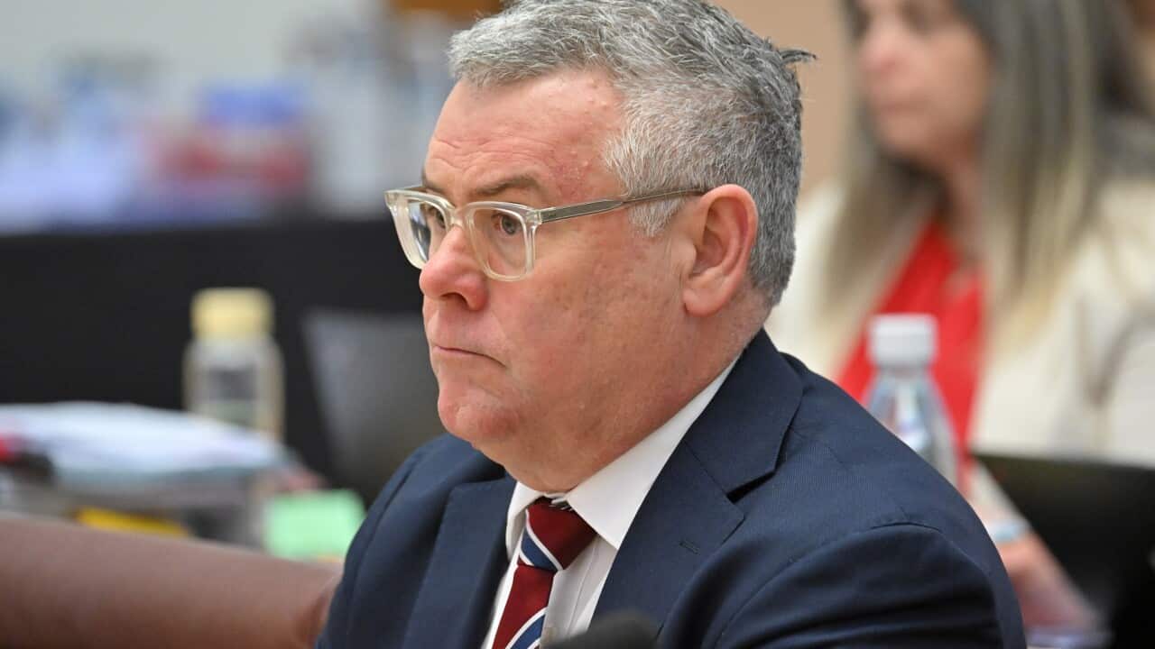 Minister for the Environment Murray Watt (AAP)