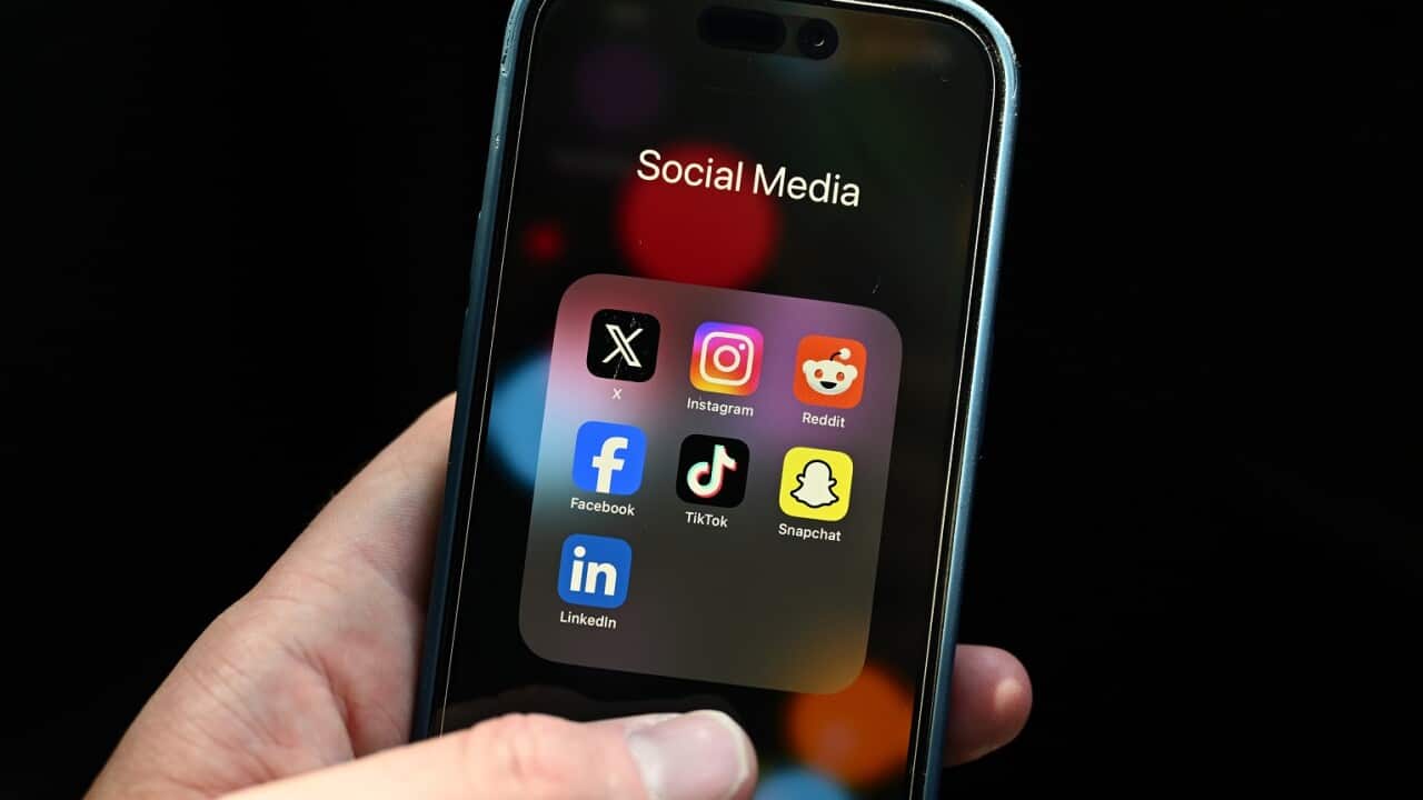 SOCIAL MEDIA STOCK