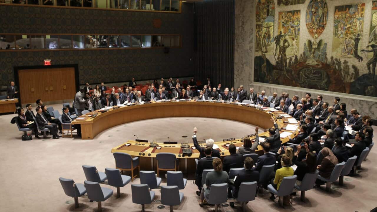 U.N. Security Council