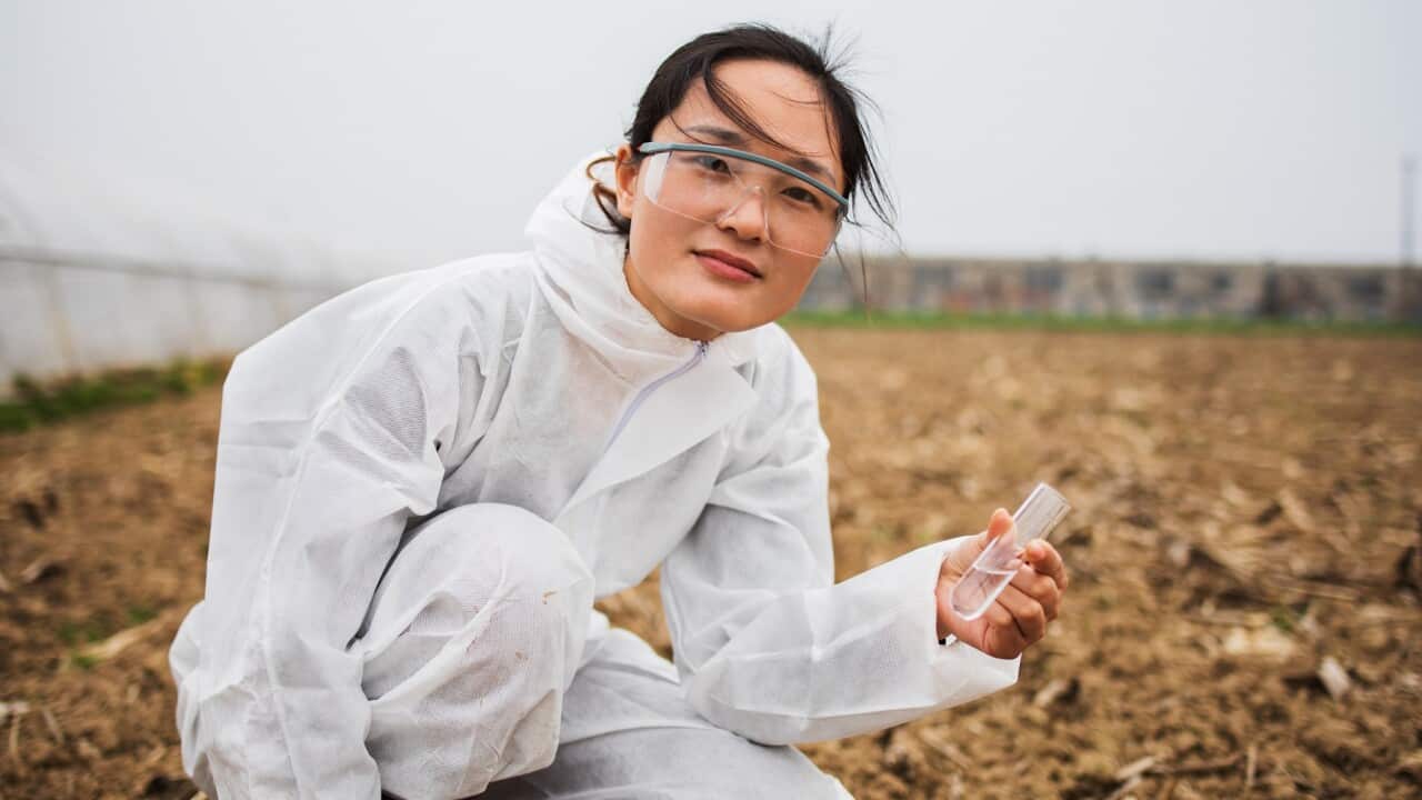 Young female scientist holding test tube and soil