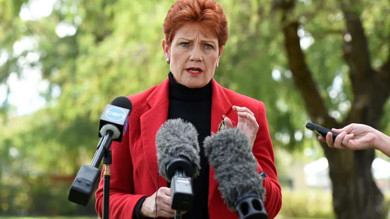 One Nation’s Pauline Hanson