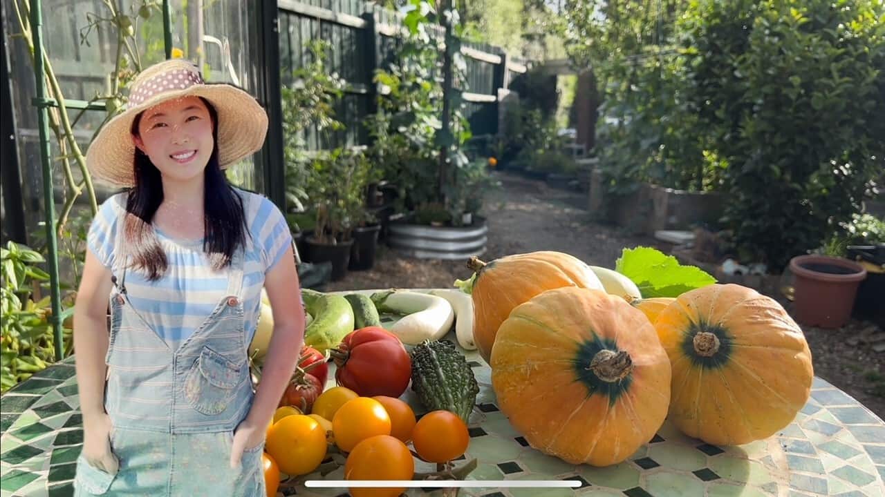 My Garden (Photo taken by Xi Xiaochu).jpg