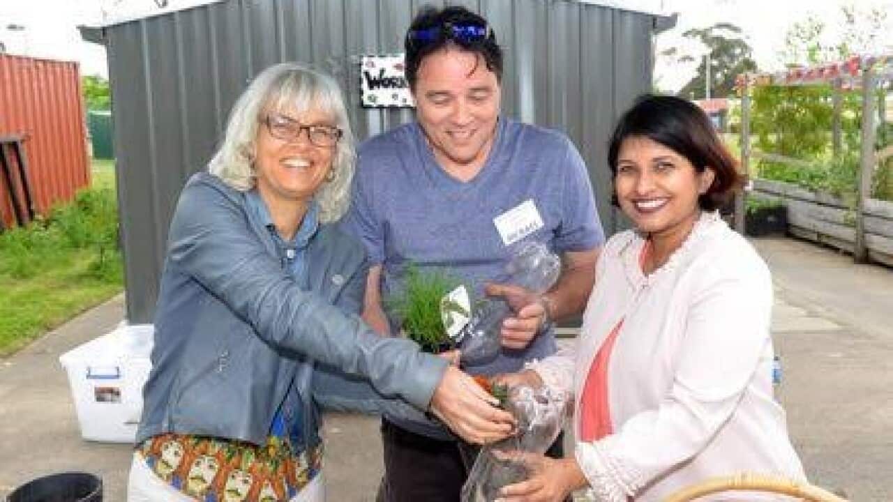 Image for read more article 'READ MORE'