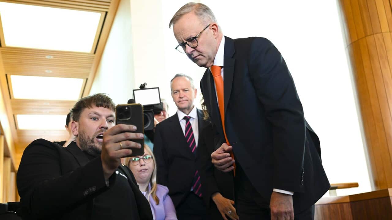 ANTHONY ALBANESE DYLAN ALCOTT WEBSITE LAUNCH