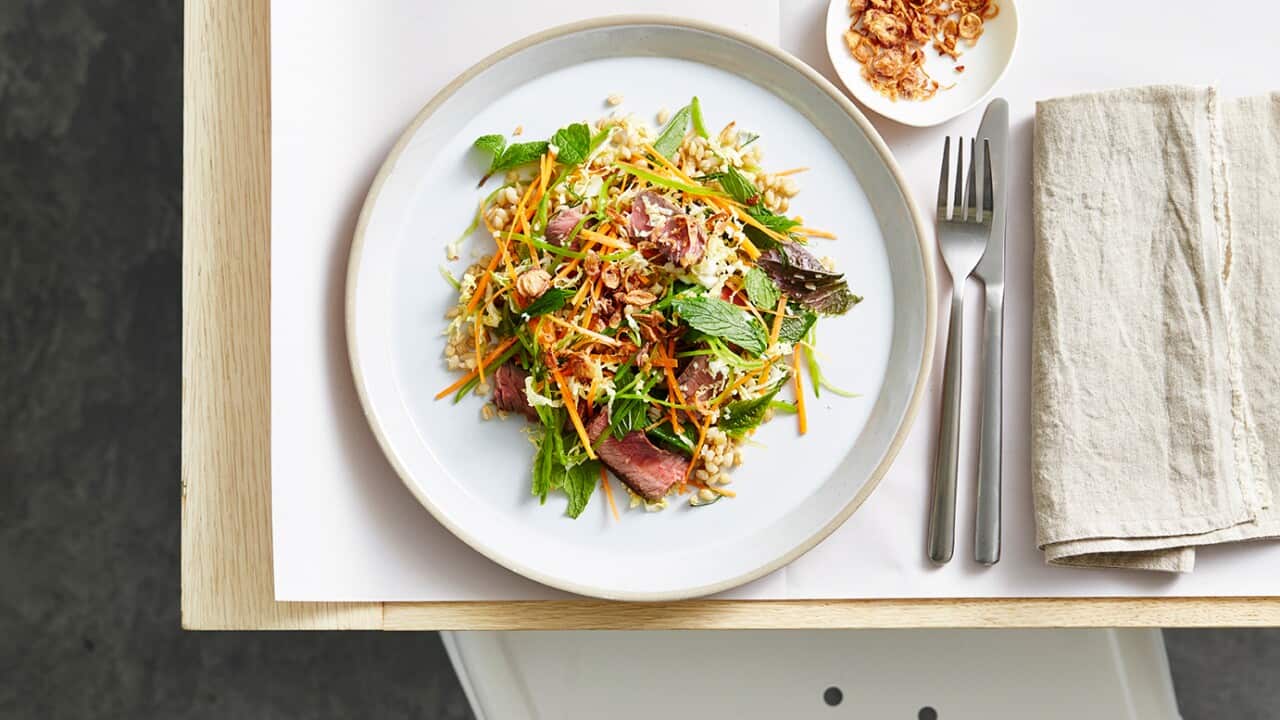 Rainbow slaw, pearled barley and grilled beef