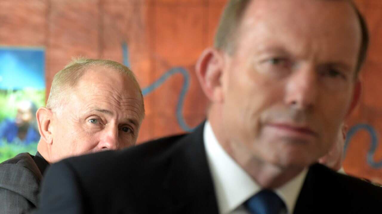 PM Tony Abbott (right) and Communications Minister Malcolm Turnbull
