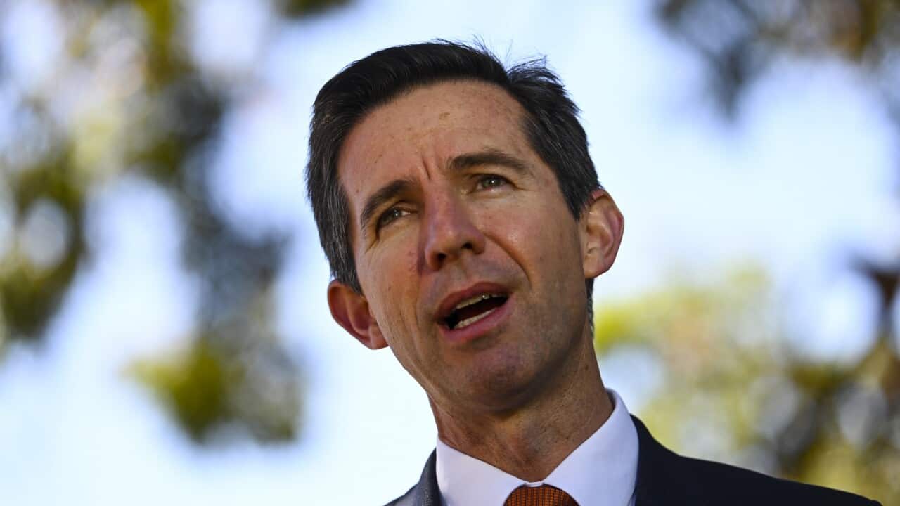 Australian Trade Minister Simon Birmingham.