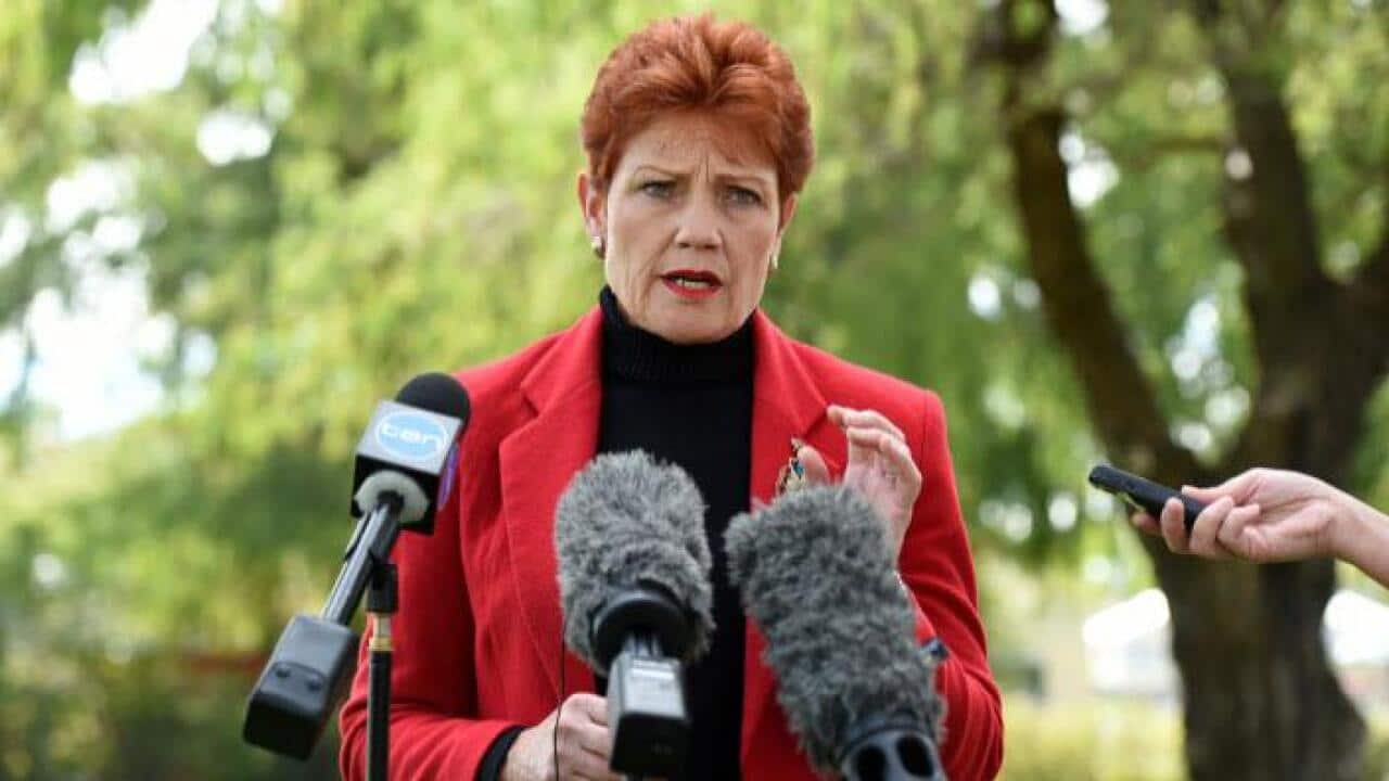 One Nation's Pauline Hanson