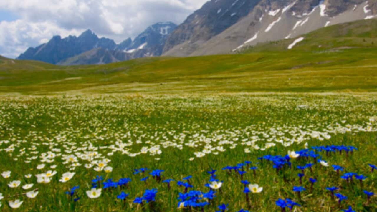 Mercantour-national-park_france_120731_b_getty_1984728188