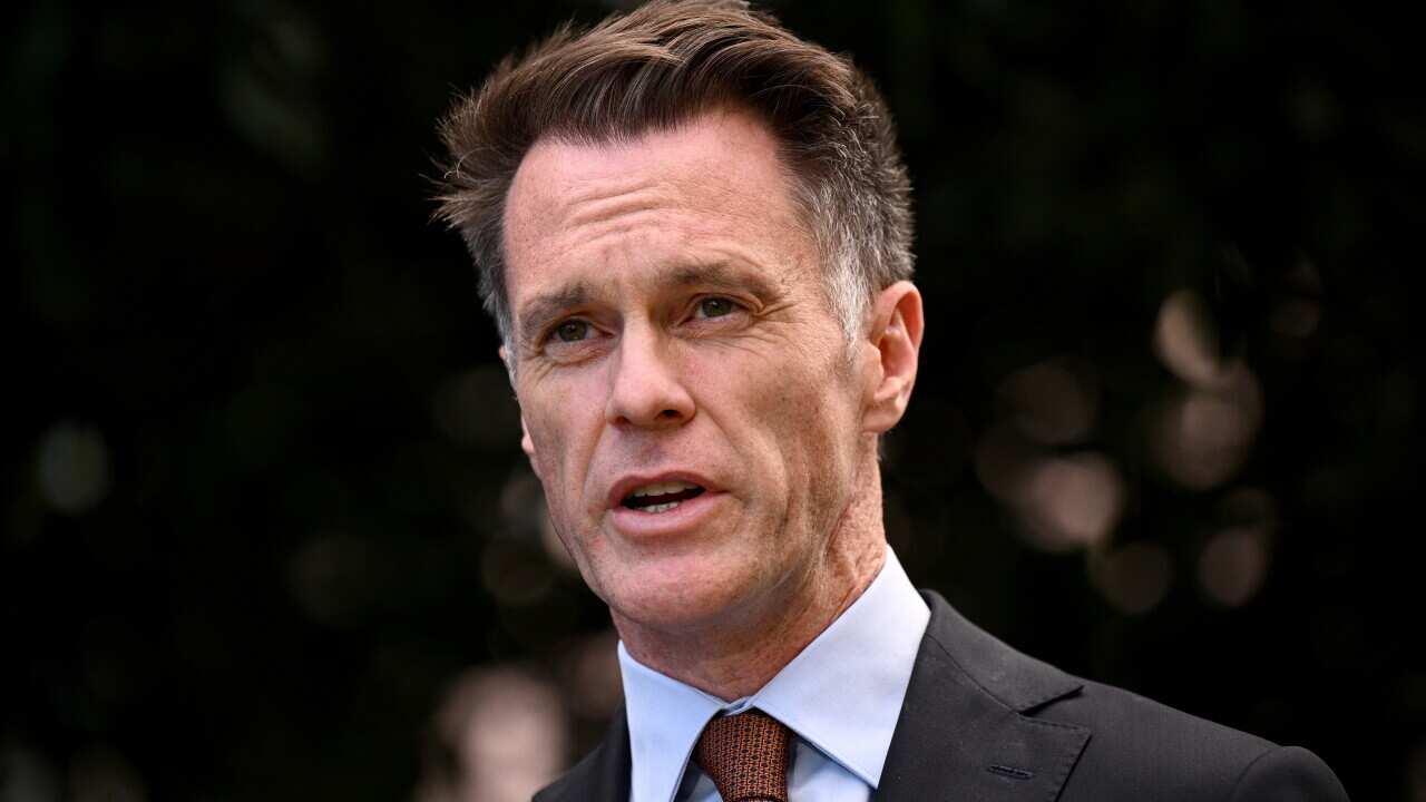NSW police to be given powers to search people for knives with no warrant under new proposal NSW police to be given powers to search people for knives with no warrant under new proposal
