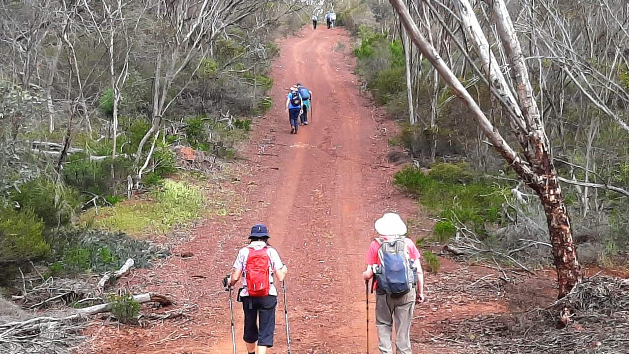 Bushwalkers on the Ravensthorpe Range - Terry Dunham.jpg