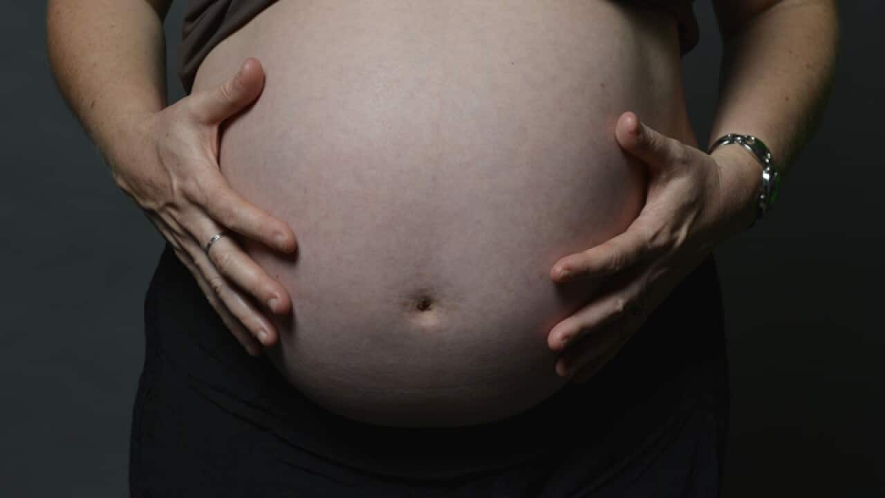 Pregnancy stock in Sydney