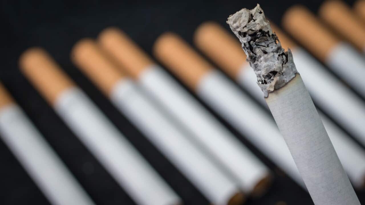 A close-up view of cigarettes on June 10, 2015. (Photo by Matt Cardy/Getty Images)