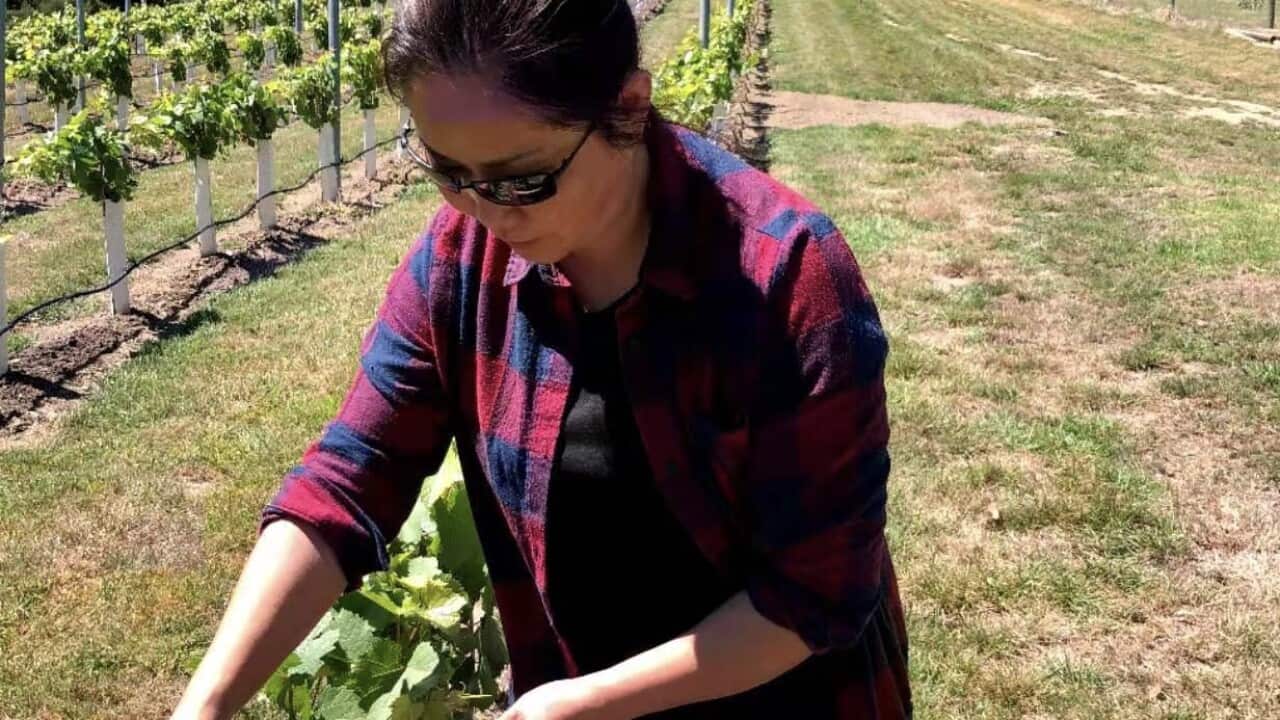 Image for read more article ''