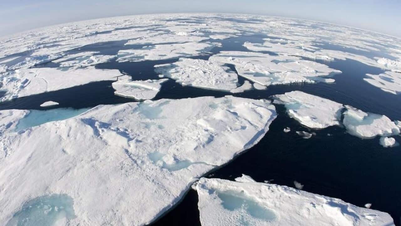 Ice floes floats at sea.