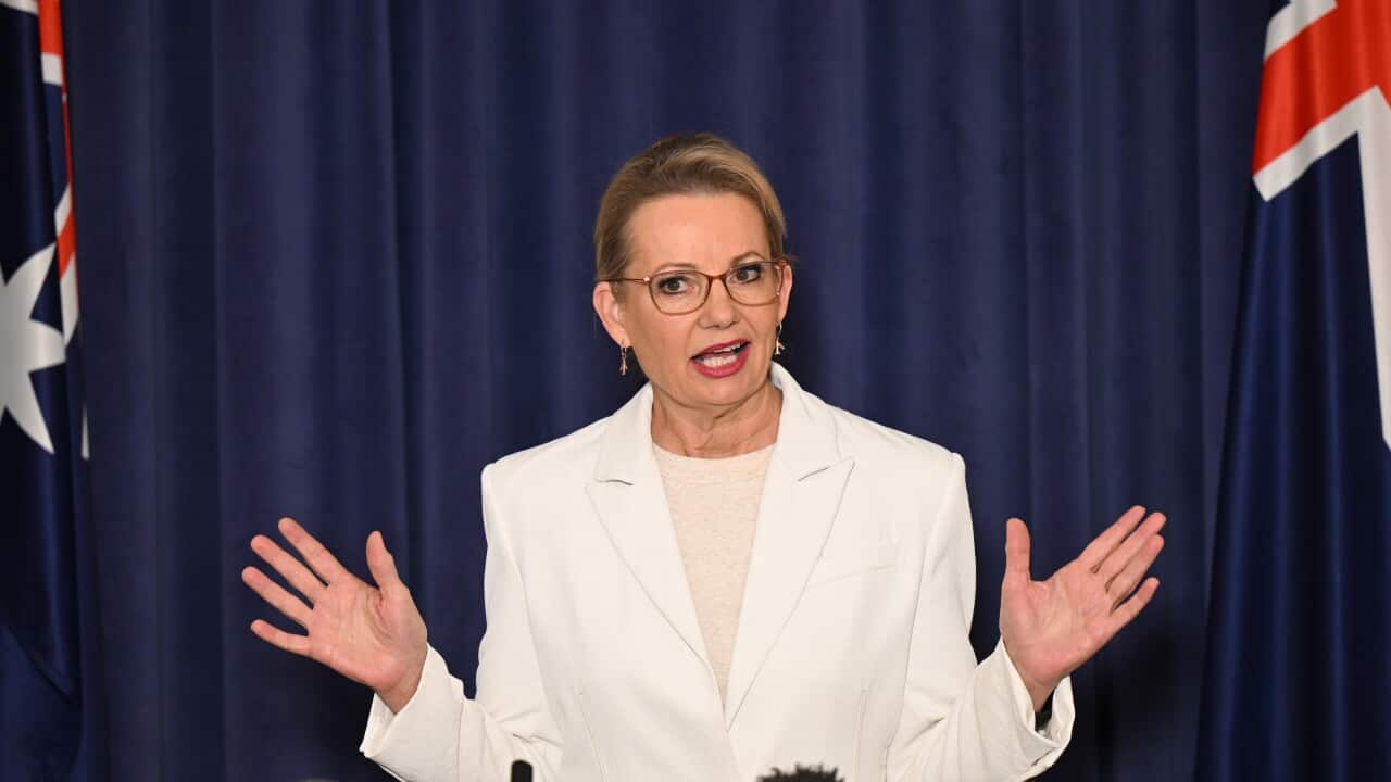 A woman speaks at a press conference, gesturing with both hands.