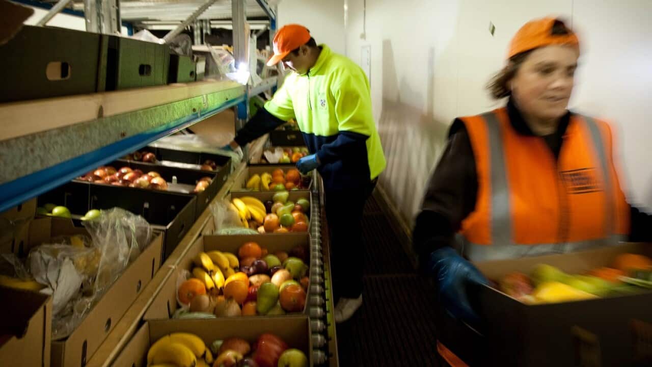 Aussie Farmers Direct has gone into voluntary administration. Pictured is a file image of the Rocklea packing room in Brisbane.