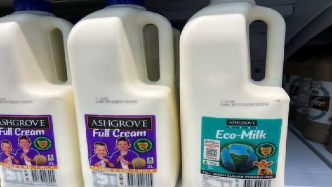 A bottle of "Eco-Milk", produced by cows fed with seaweed that makes them emit less greenhouse gas, sits on a supermarket shelf, in Tasmania