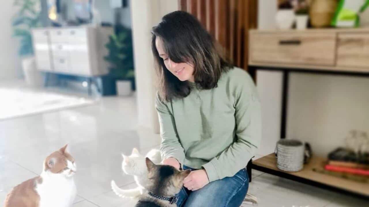 Marianna Delray, Foster care for pets in Victoria