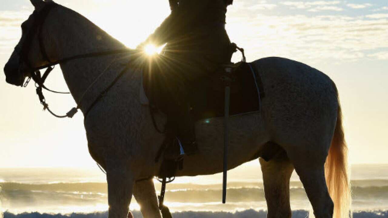 Member of Light Horse brigade take part in the Anzac Day dawn service at Currumbin Surf Life Saving Club on the Gold Coast (AAP)