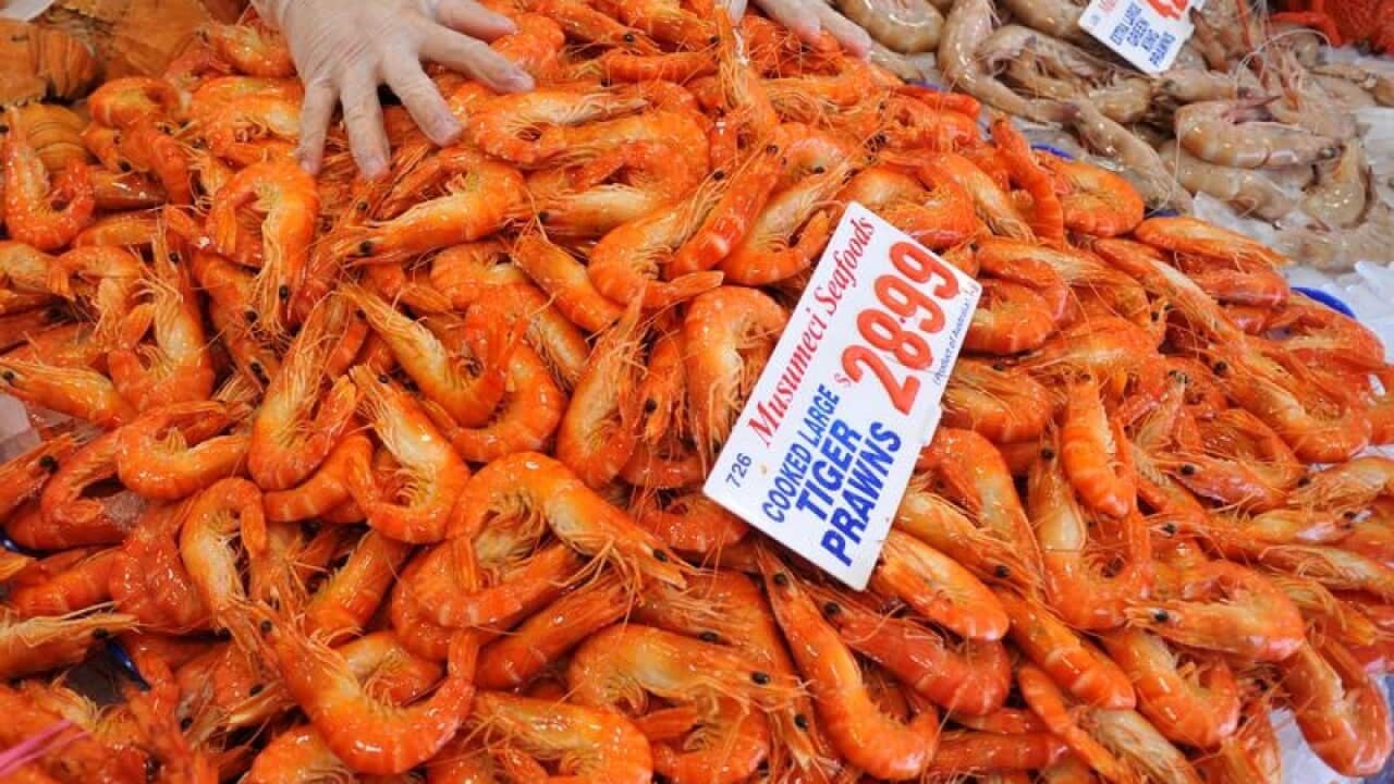 Prawns