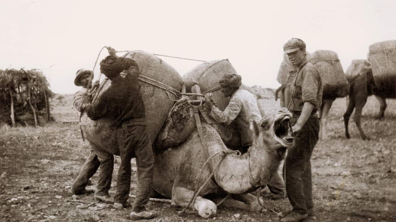 Image for read more article 'READ MORE'