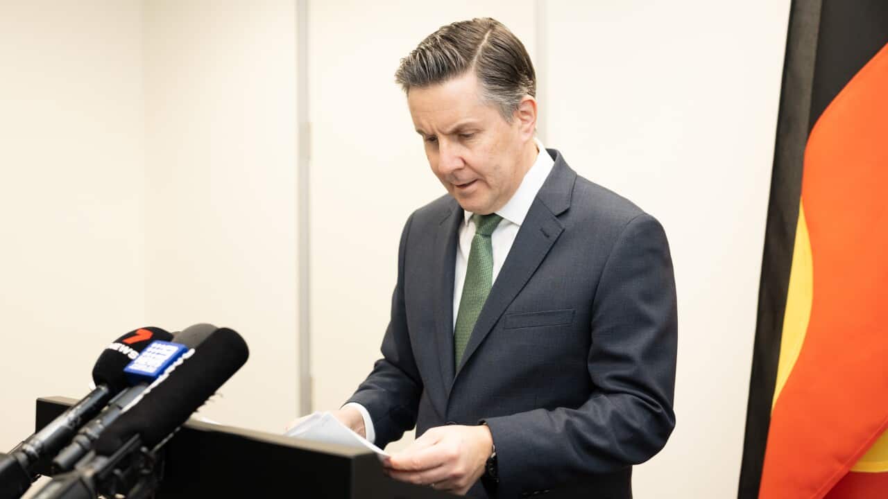 Acting employment minister Mark Butler