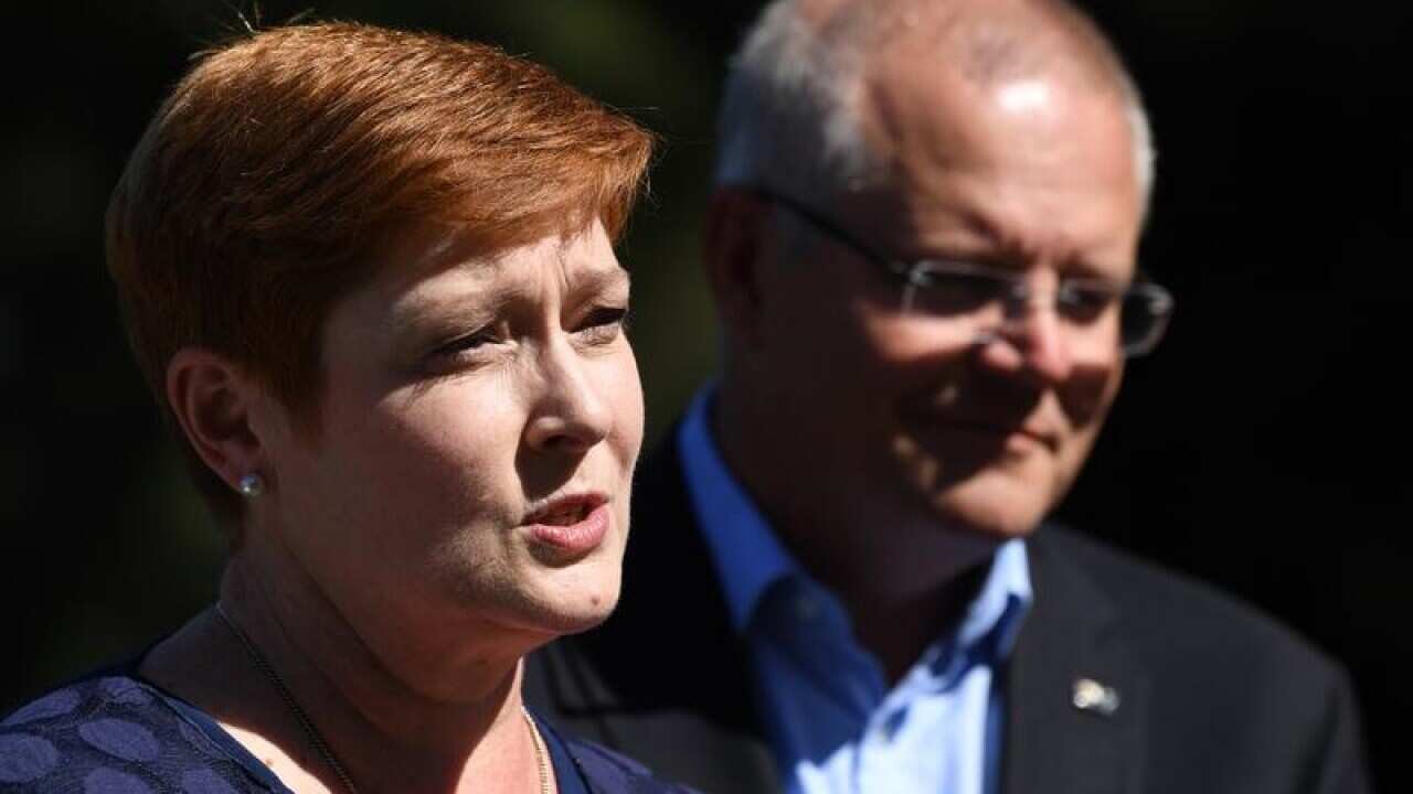 Marise Payne has called for calm.