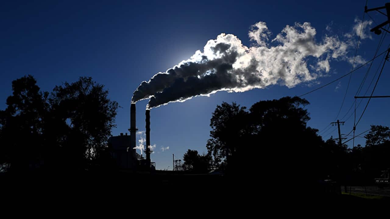 ENVIRONMENT STOCK