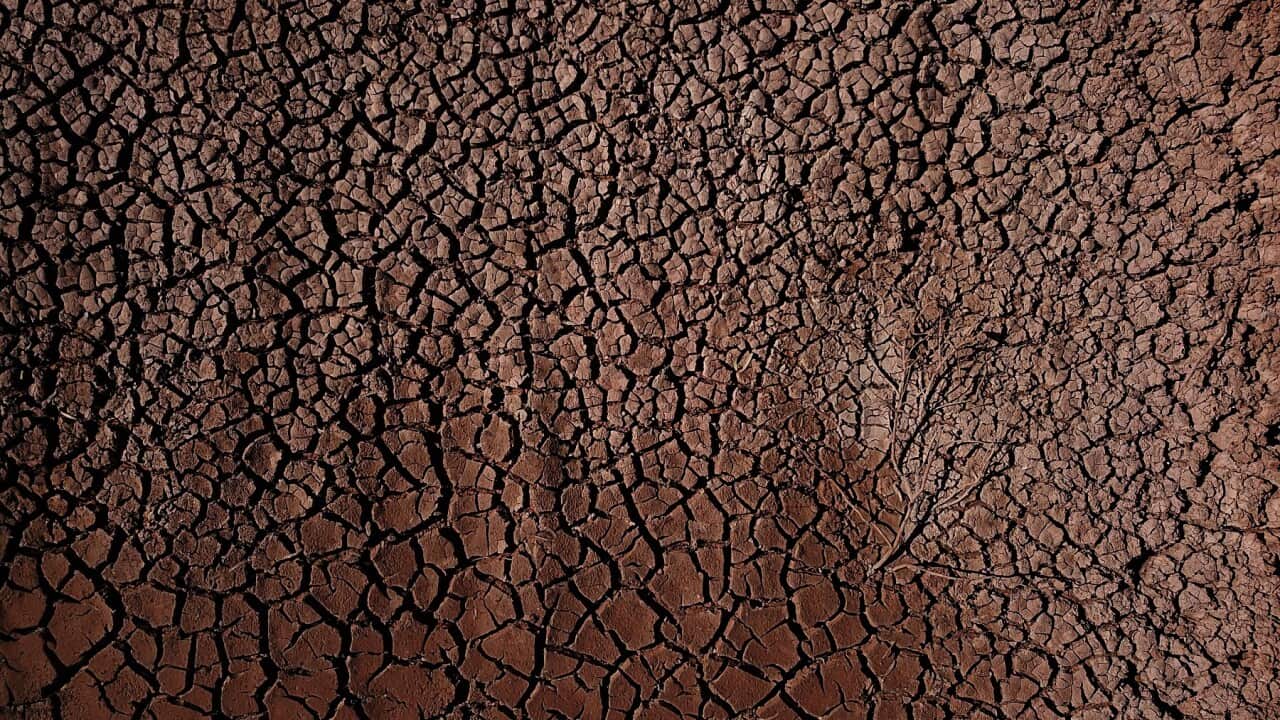 MENINDEE POONCARIE DROUGHT FEATURE
