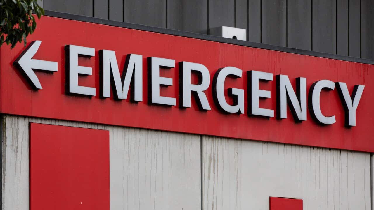 Image for read more article 'READ MORE'