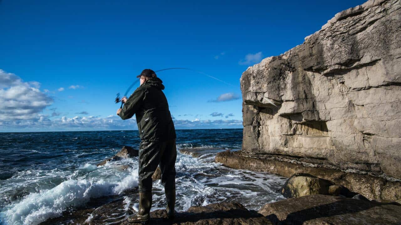 Image for read more article '更多內容'