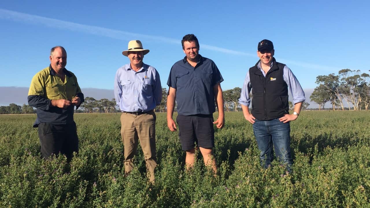 Australian farmers happy