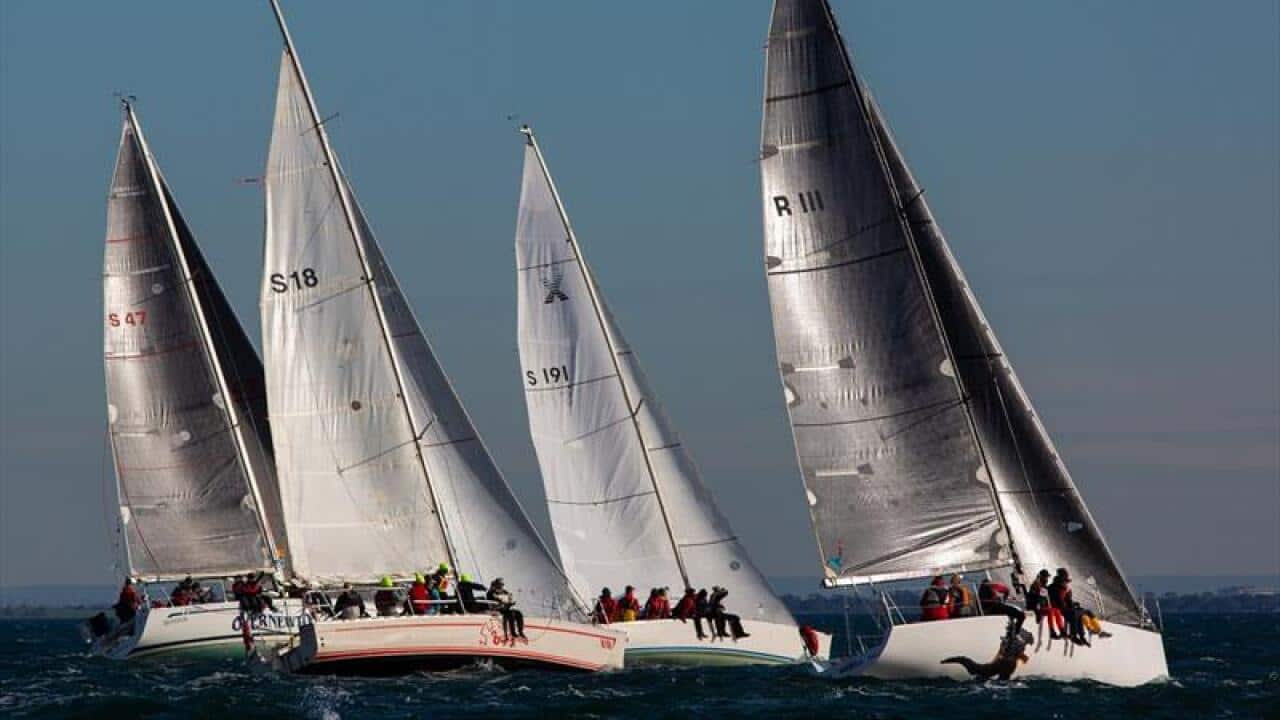Regatta.jpg