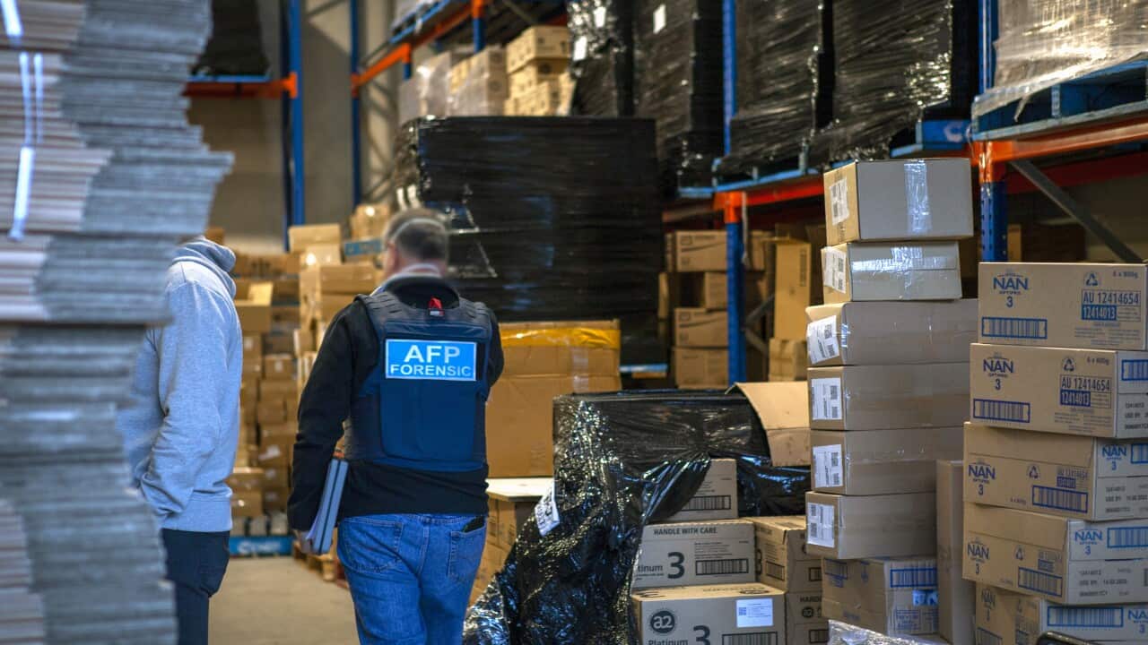 AFP : Two alleged international money launderers arrested in Sydney