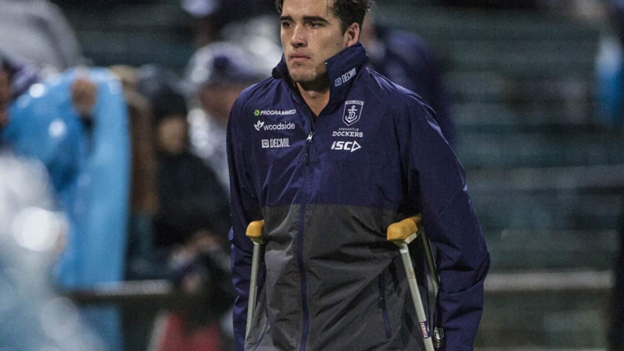 Alex Pearce of the Fremantle Dockers