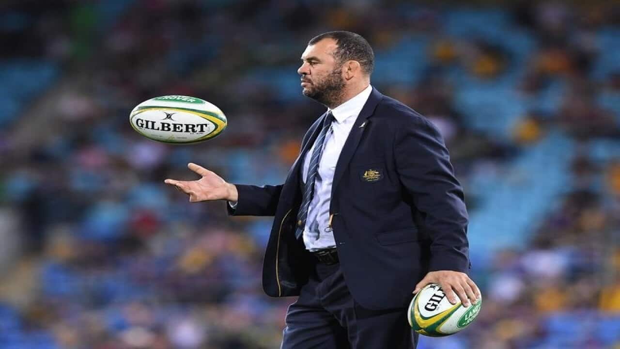 Wallabies