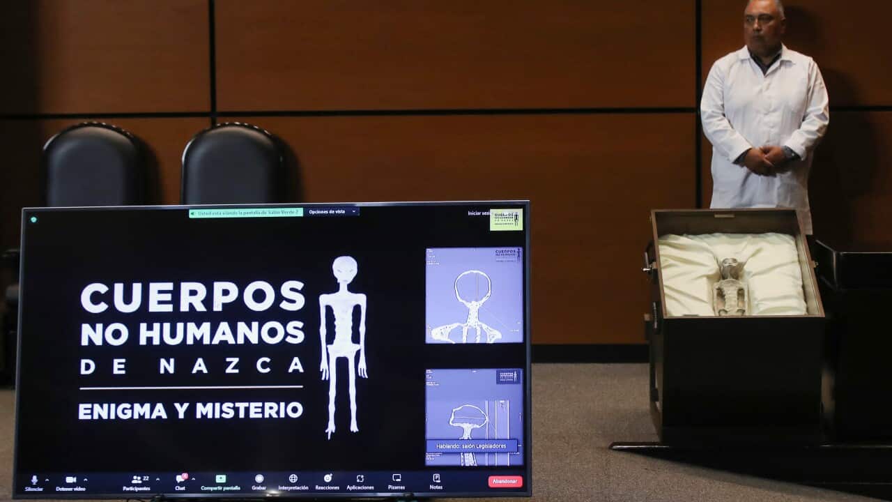 Image for read more article 'READ MORE'