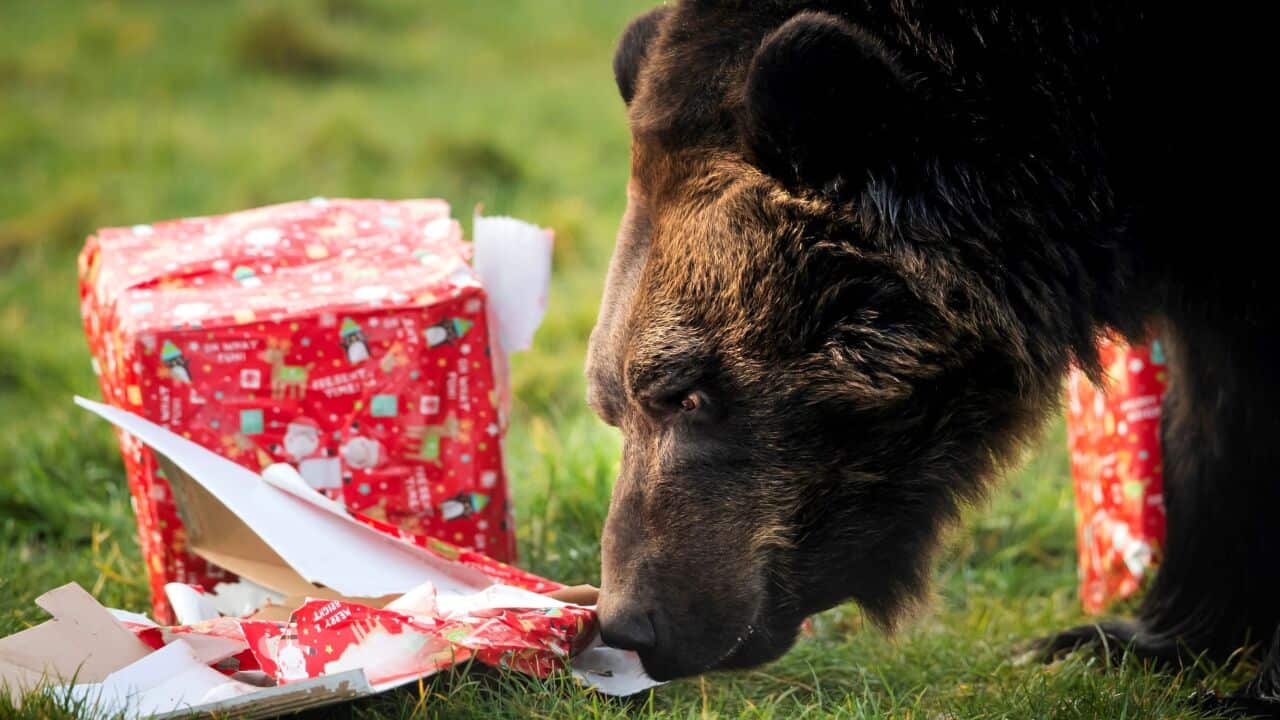 Image for read more article '相關內容'