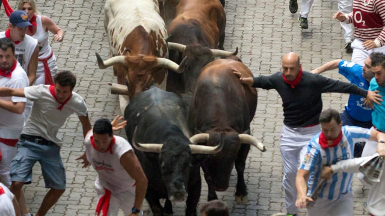 Running-with-the-bulls in Pamplona