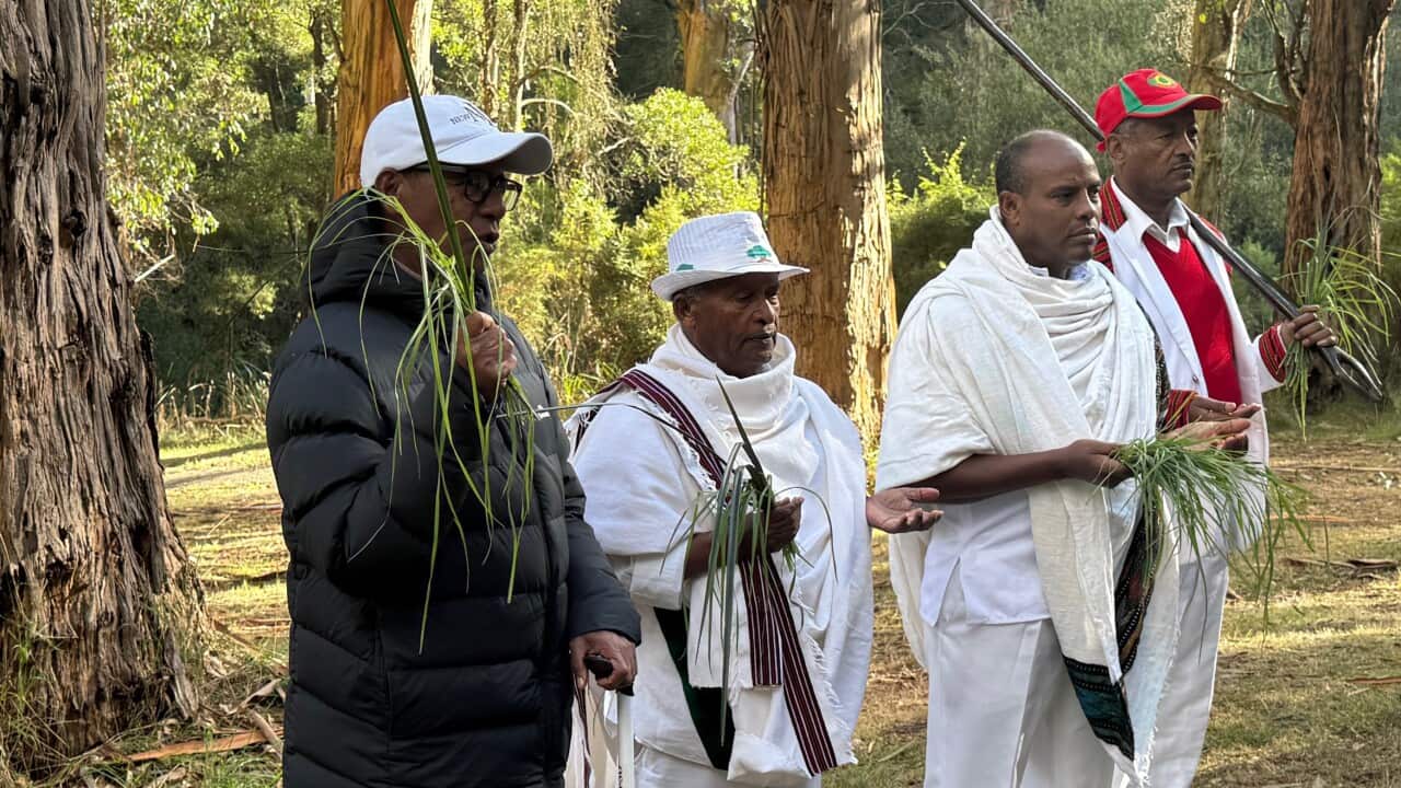 obbo Michaeil, ob Olumaa, Ob Daanyee, Ob Bantii