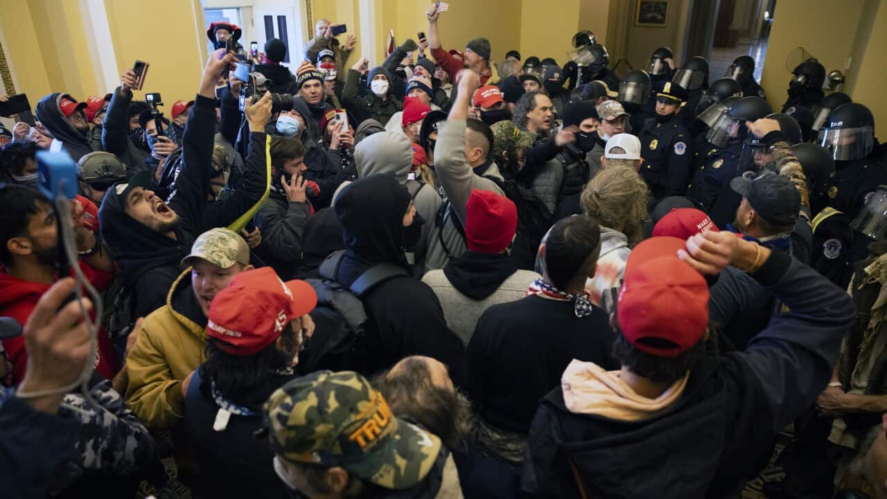 Trump Supporters Hold "Stop The Steal" Rally In DC Amid Ratification Of Presidential Election