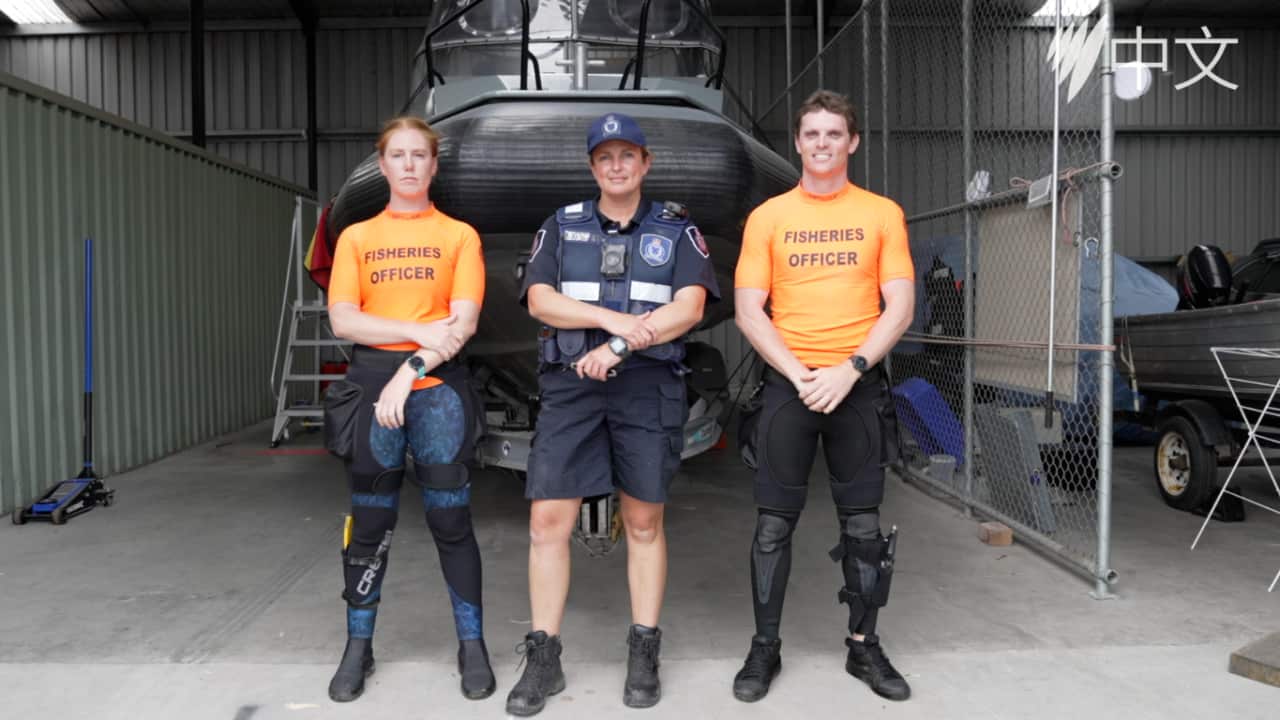 Image for read more article ''