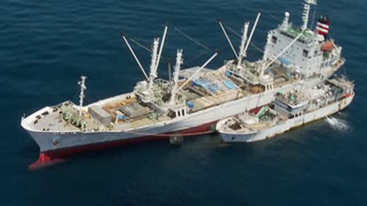 tuna_130813_wna_l_1019257540